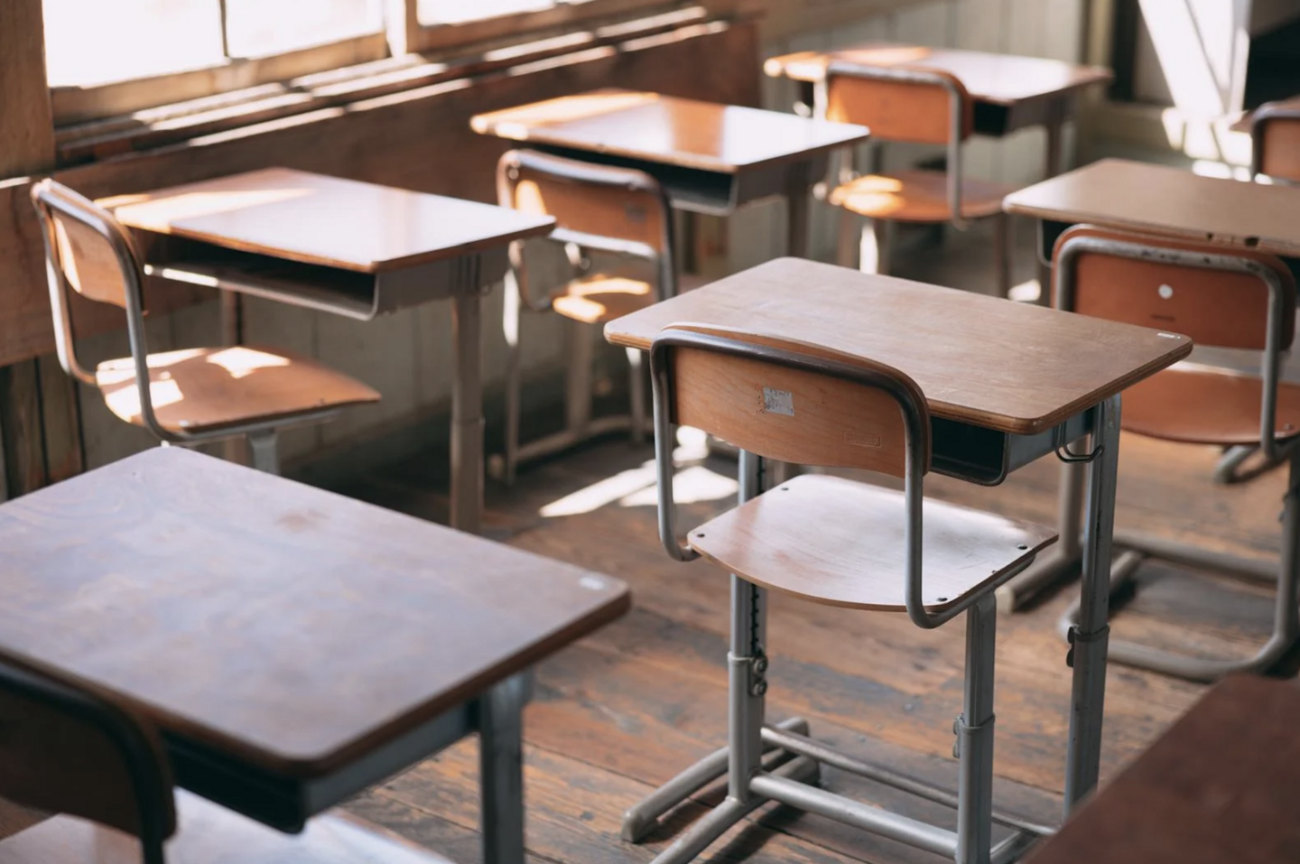 グリーンフェスティバル